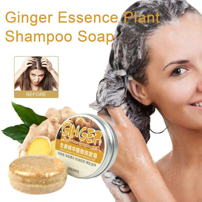 Ginger & Polygonum Hair Shampoo Bar